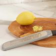 Fine Grater-Zester on Sale